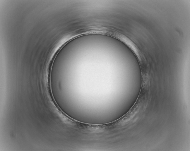 X0000111851099200907301105