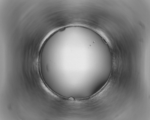 X0000111851100200907301105