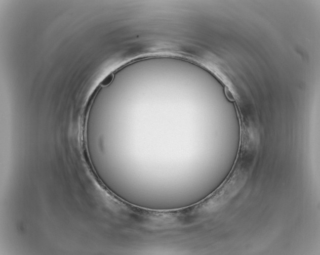 X0000111851101200907301105