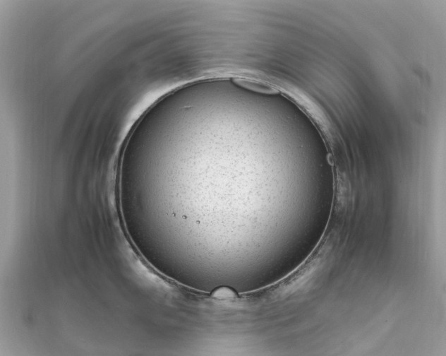 X0000111851102200907301105