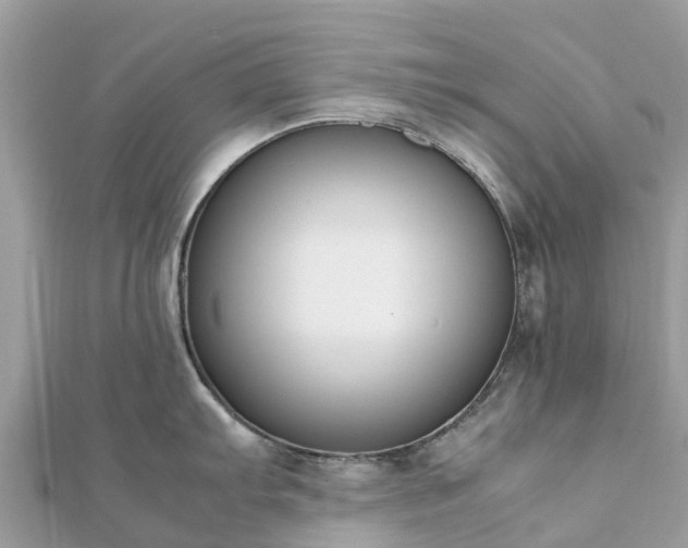 X0000111851103200907301105
