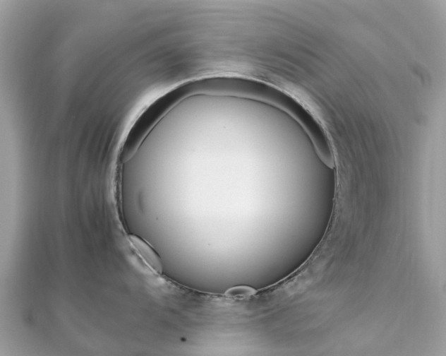 X0000111851104200907301105