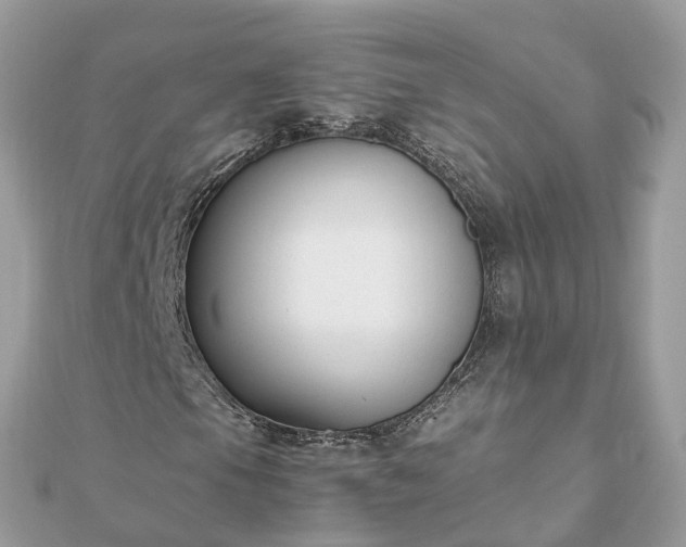 X0000111851105200907301105