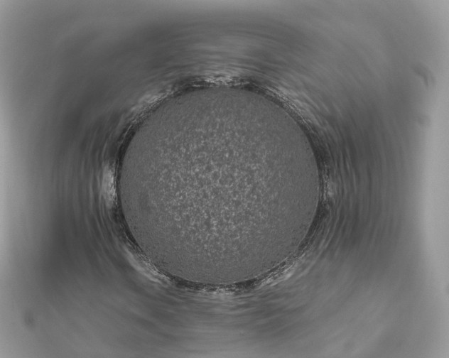 X0000111851106200907301105