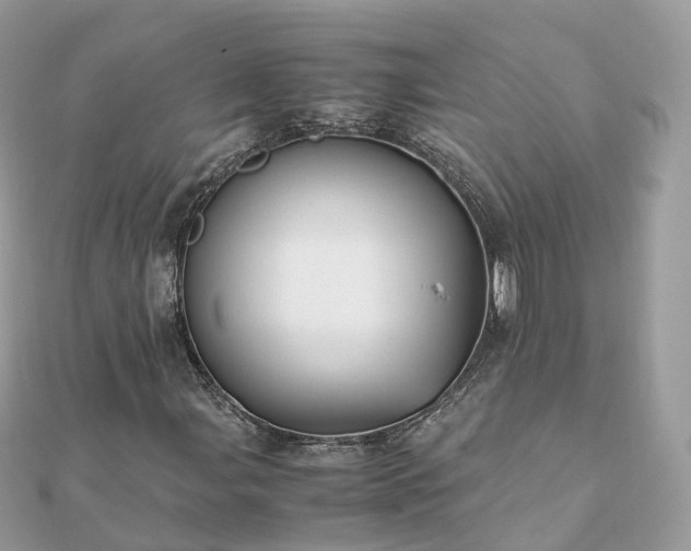 X0000111851107200907301105