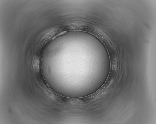 X0000111851108200907301105