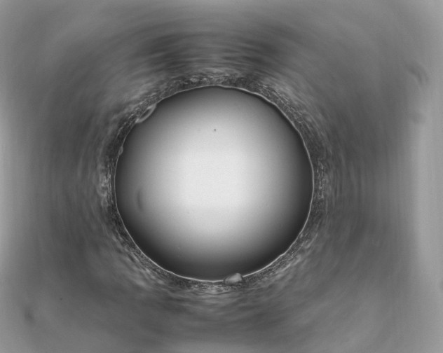 X0000111851109200907301105