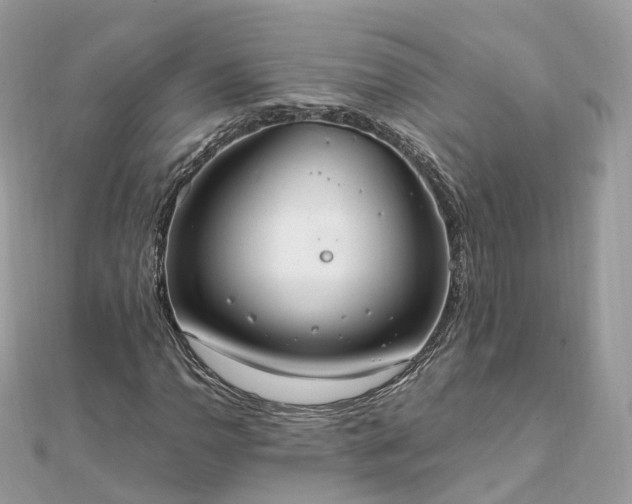 X0000111851110200907301105