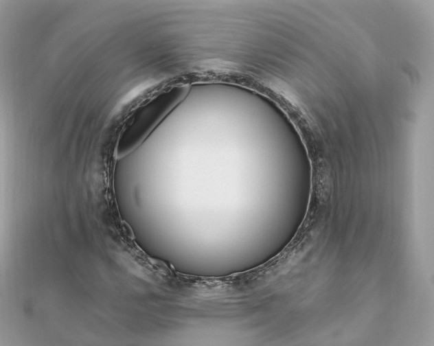 X0000111851112200907301105