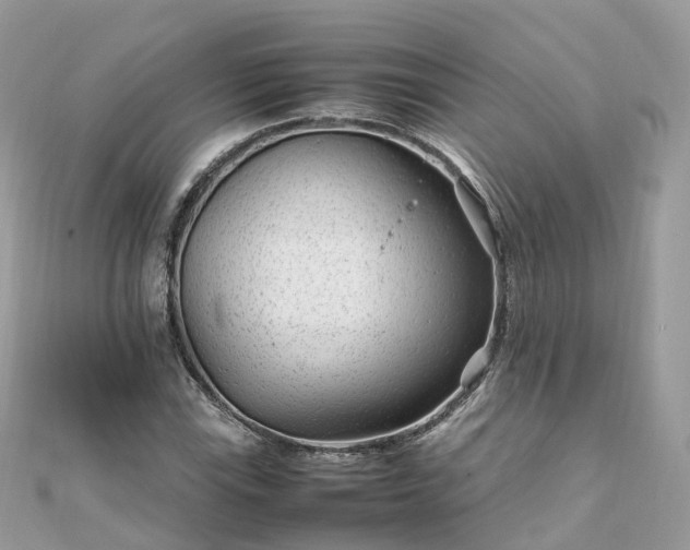 X0000111851115200907301105