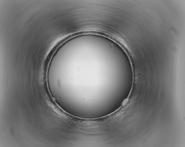 X0000111851116200907301105