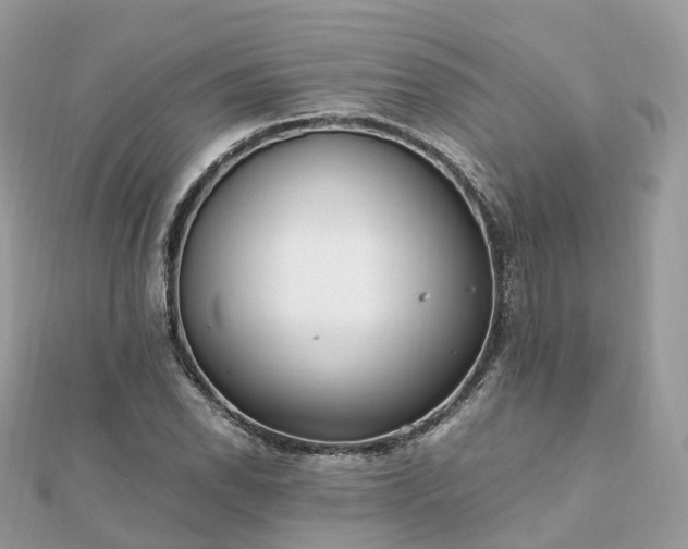 X0000111851118200907301105