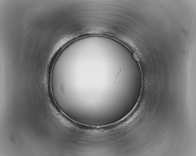 X0000111851122200907301105