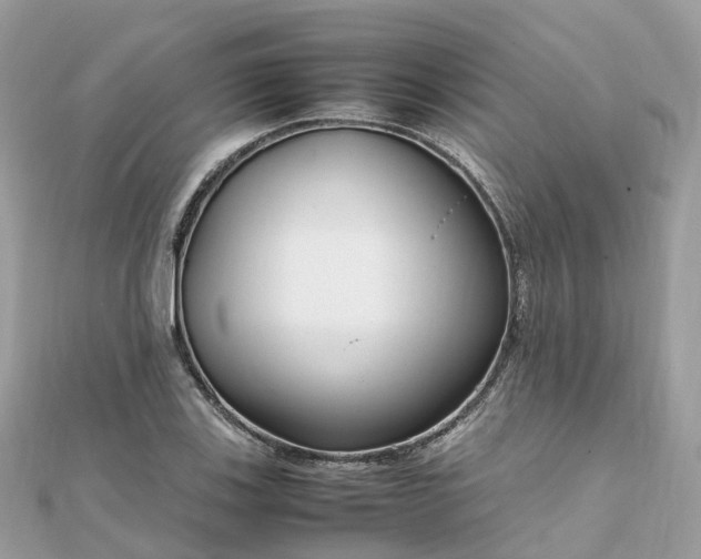 X0000111851123200907301105