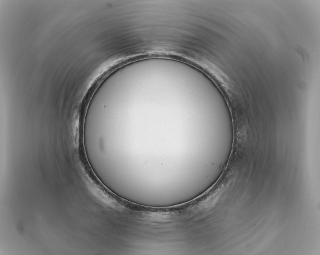 X0000111851126200907301105