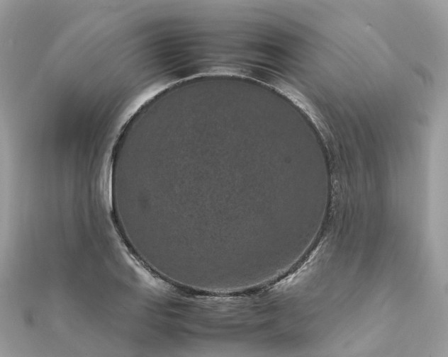 X0000111851127200907301105