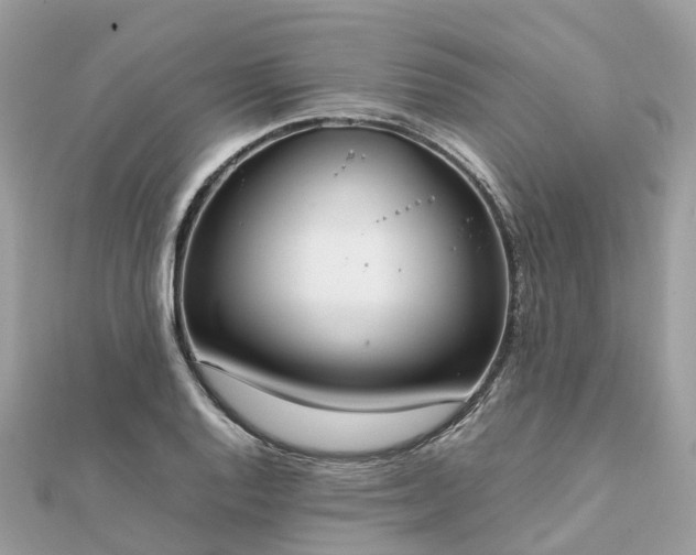 X0000111851128200907301105