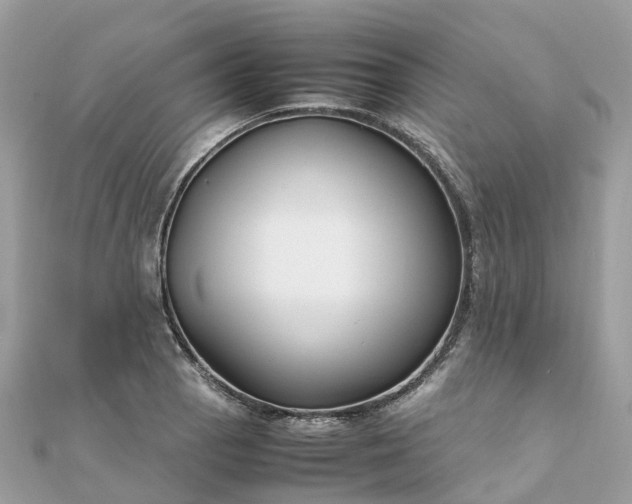 X0000111851129200907301105