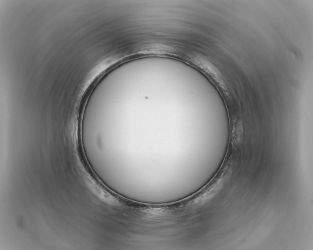 X0000111851130200907301105