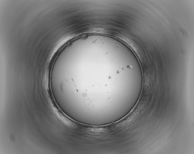X0000111851131200907301105