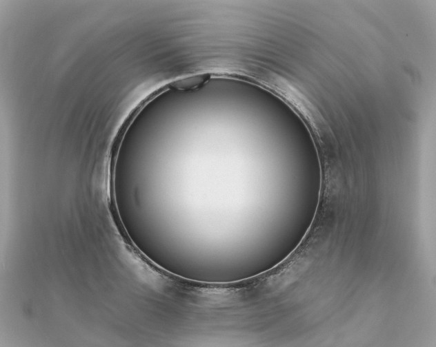 X0000111851132200907301105