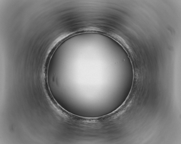 X0000111851133200907301105