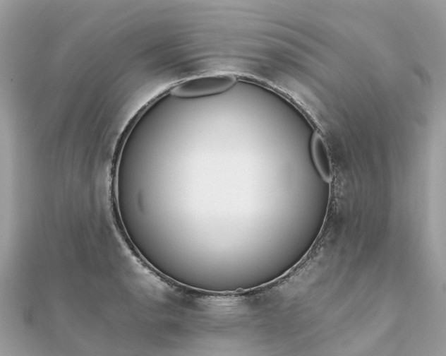 X0000111851134200907301105