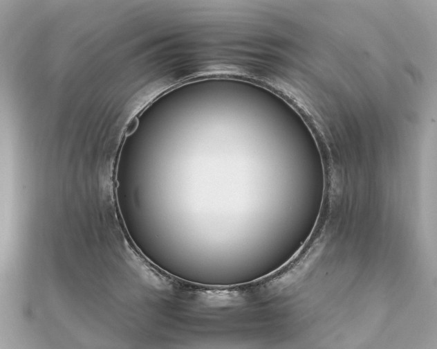 X0000111851137200907301105