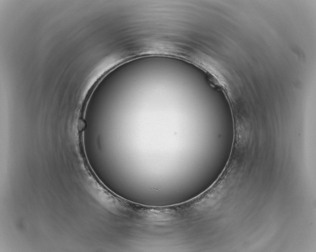 X0000111851138200907301105