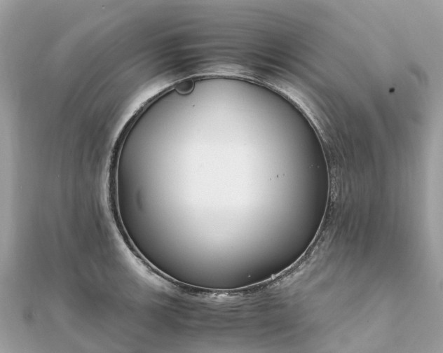 X0000111851139200907301105