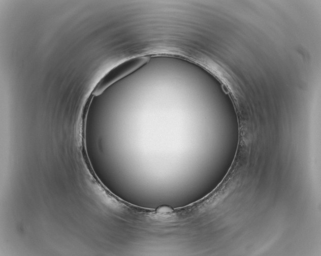 X0000111851140200907301105