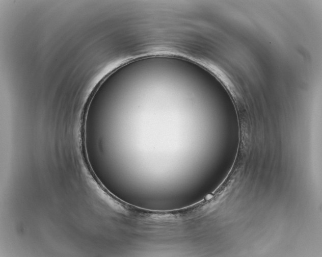 X0000111851142200907301105