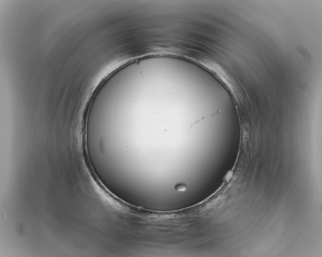 X0000111851143200907301105