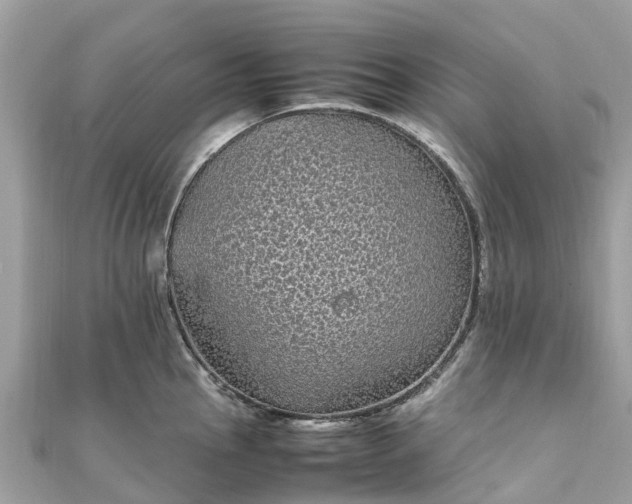 X0000111851145200907301105
