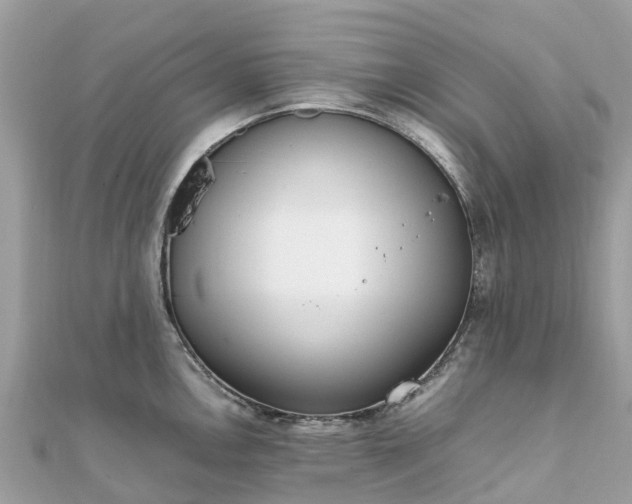 X0000111851146200907301105