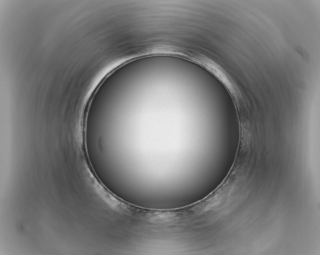 X0000111851148200907301105