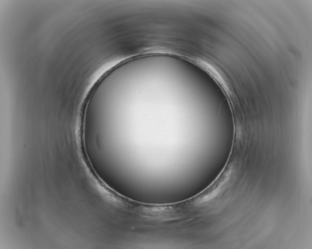 X0000111851149200907301105