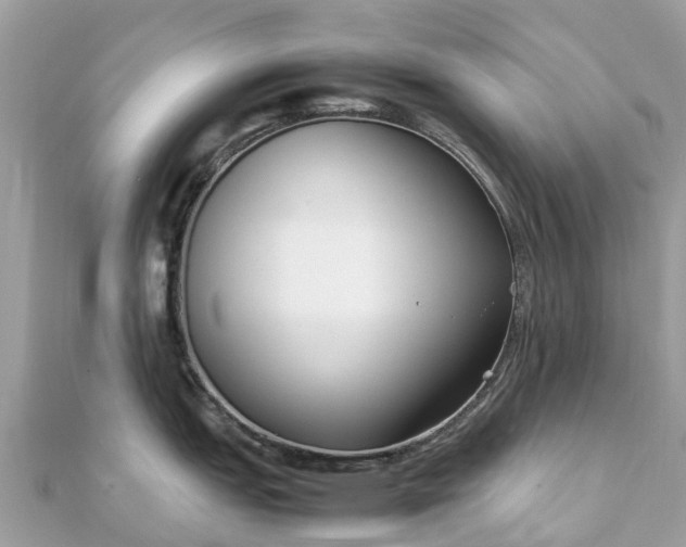 X0000111851151200907301105