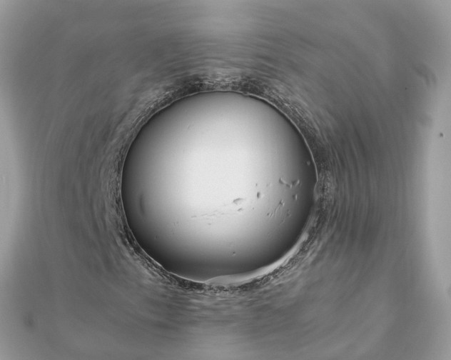 X0000111851153200907301105