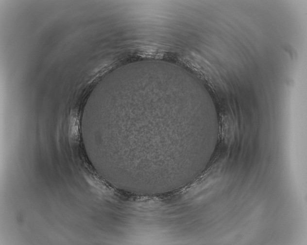 X0000111851154200907301105