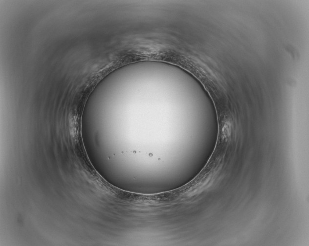 X0000111851156200907301105