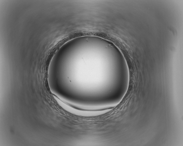 X0000111851157200907301105