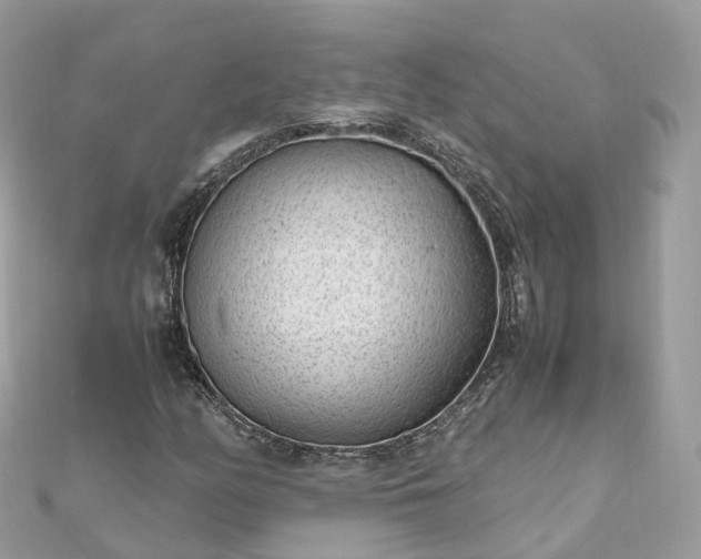 X0000111851158200907301105