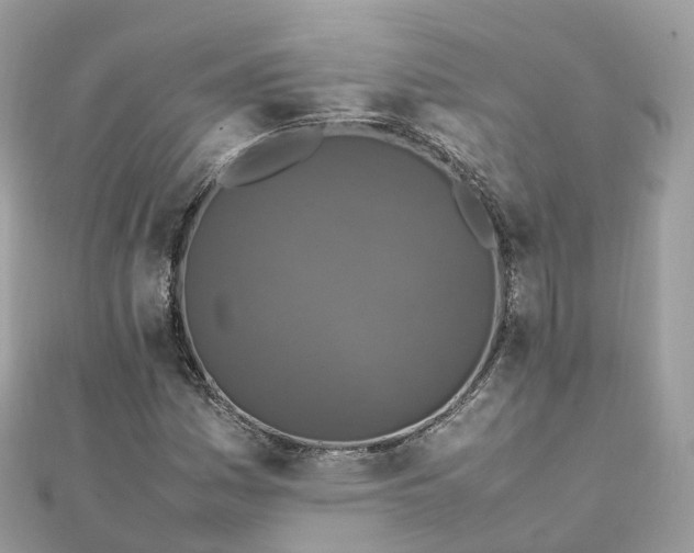 X0000111851161200907301105