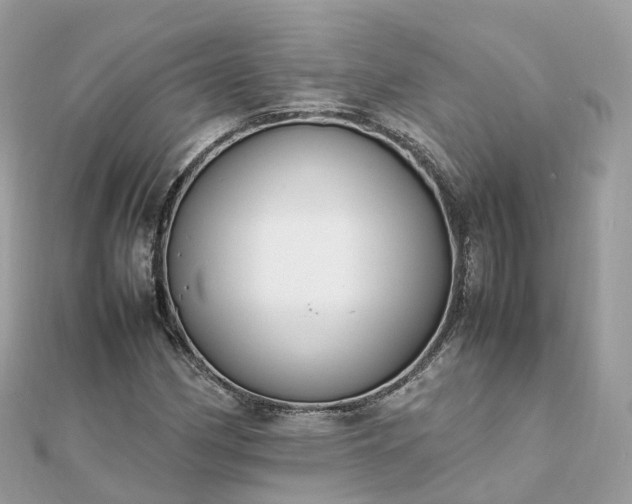 X0000111851162200907301105