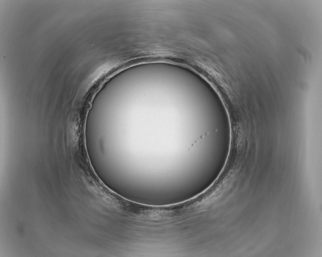 X0000111851163200907301105