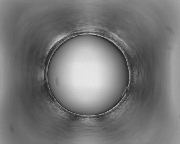 X0000111851166200907301105