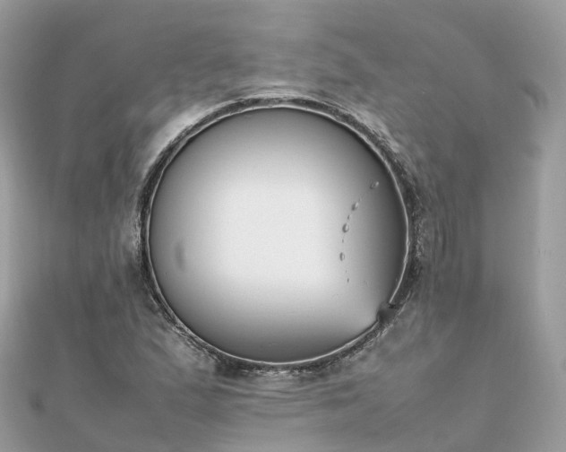 X0000111851167200907301105