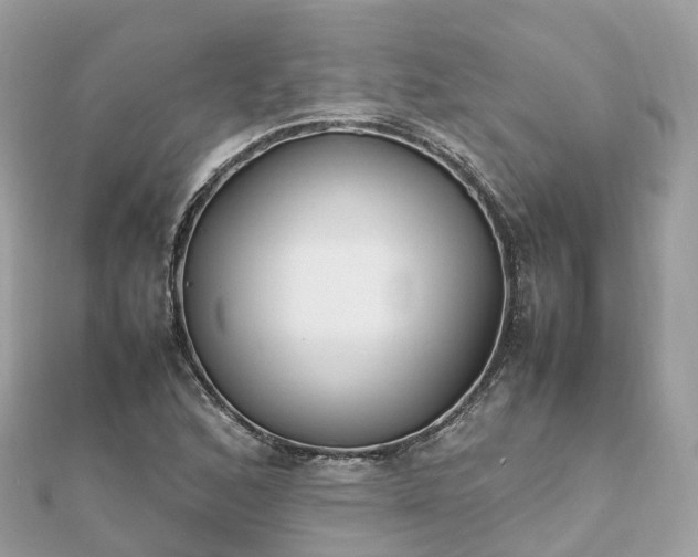 X0000111851168200907301105