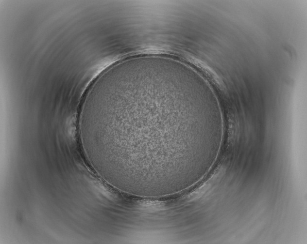 X0000111851170200907301105